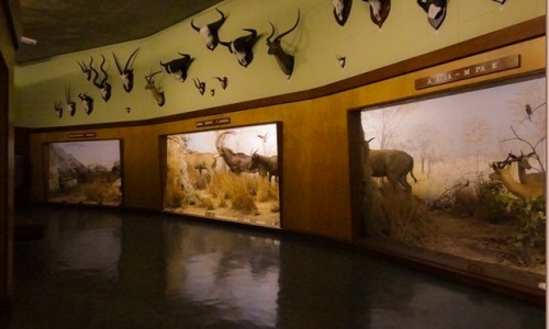 Bulawayo Natural History Museum
