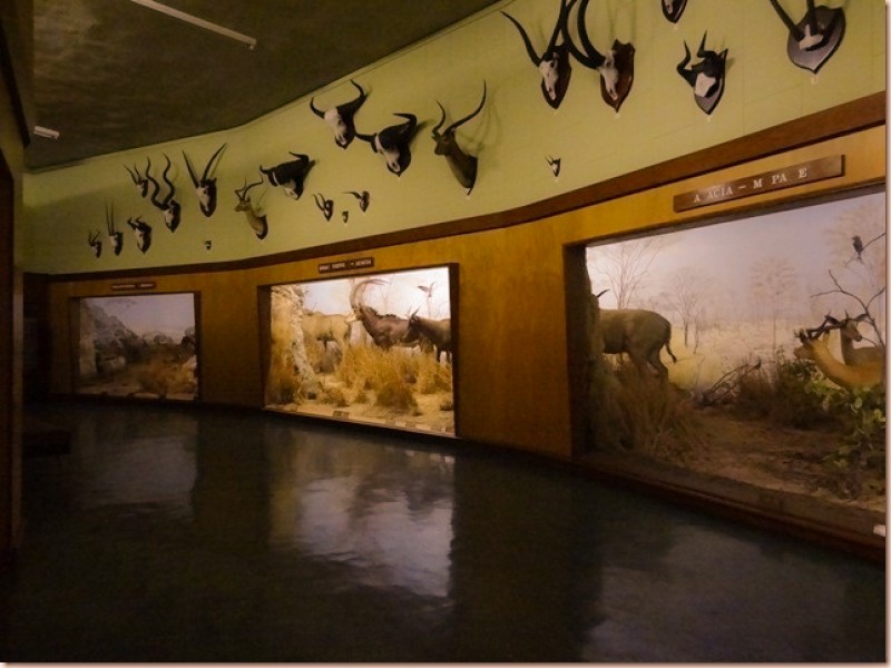 Bulawayo Natural History Museum