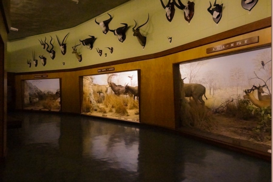 Bulawayo Natural History Museum