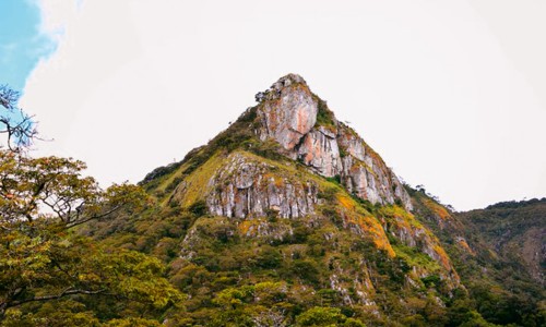 Bvumba Mountains 