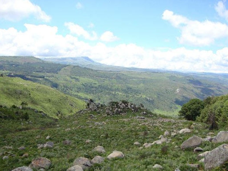 Eastern Highlands