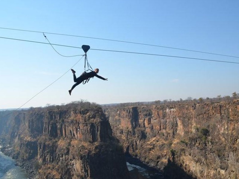 Flying Fox Highwire