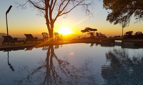 Forest Hills Resort