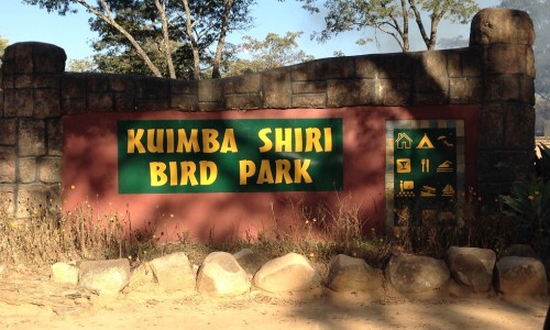 Kuimba Shiri Bird Sanctuary 