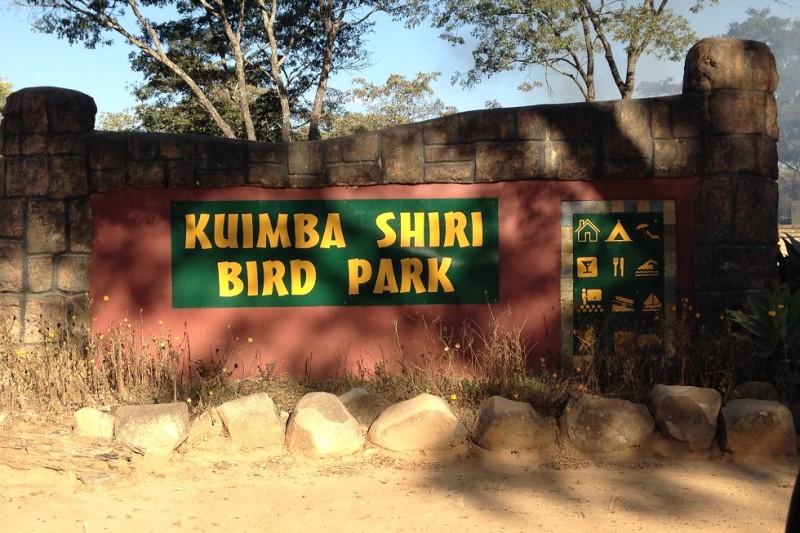 Kuimba Shiri Bird Sanctuary 