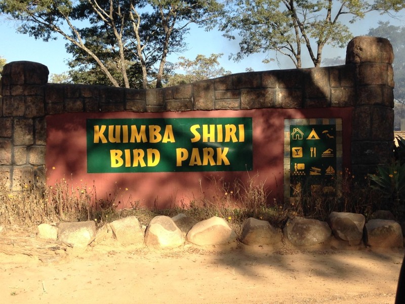 Kuimba Shiri Bird Sanctuary 