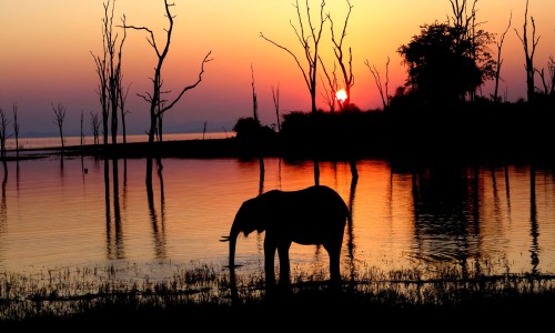 Matusadona National Park