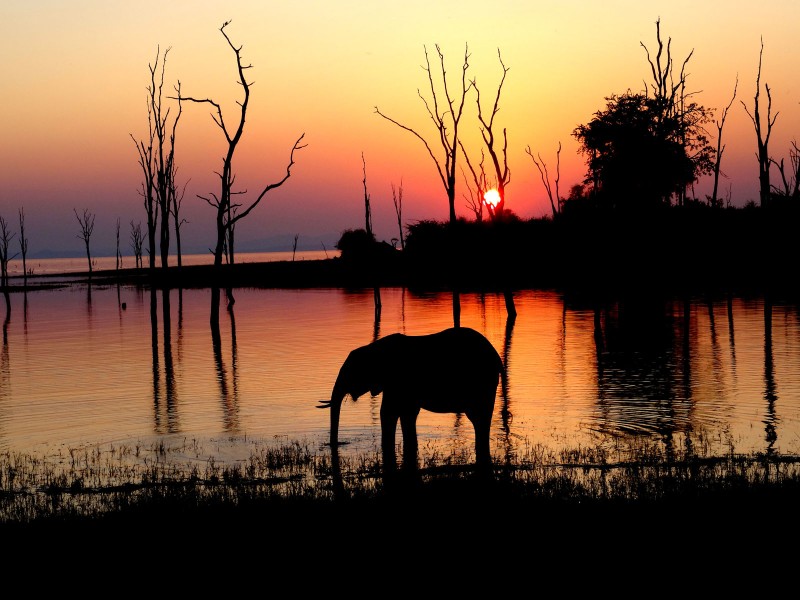 Matusadona National Park