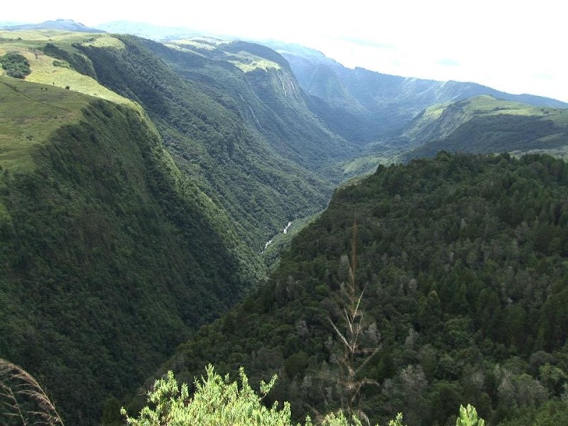 Nyanga National Park