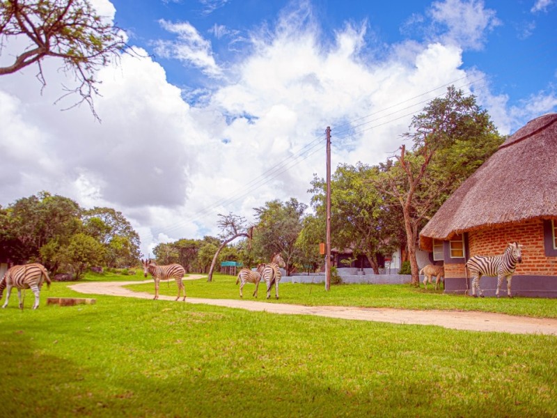 Nyati Eco Game Park