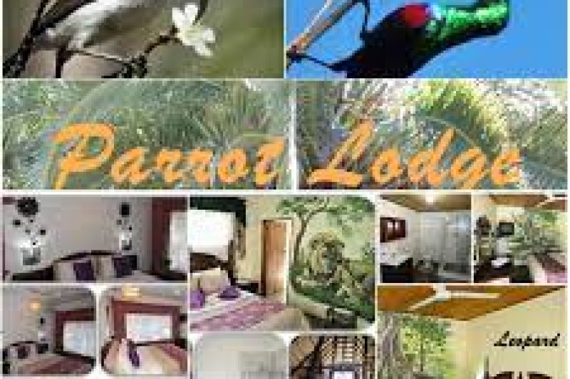 Parrot Lodge