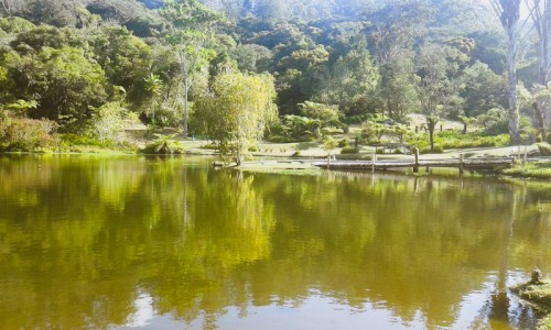 Vumba Botanical Gardens and Reserve