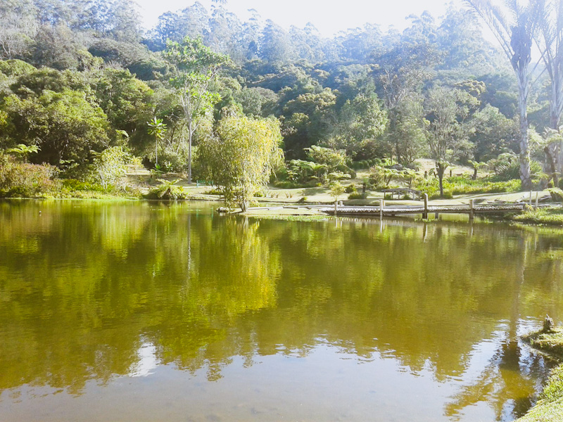 Vumba Botanical Gardens and Reserve