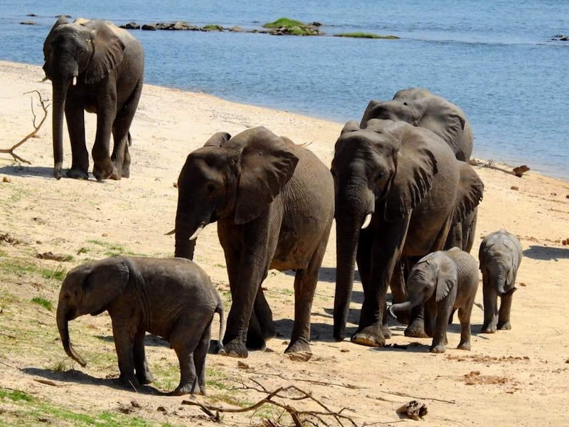 Zambezi National Park